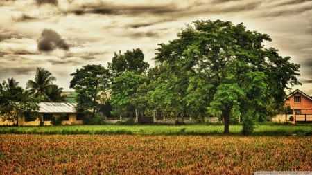 beautiful rural scene hdr - farm, clouds, fields, trees, hdr