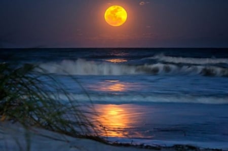 Magic moon - beach, palm, waves, nature, magic moon, beautiful, scenery, thunder, sea