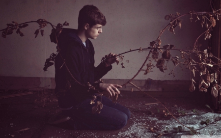 abandoned - alone, boy, plant, dark