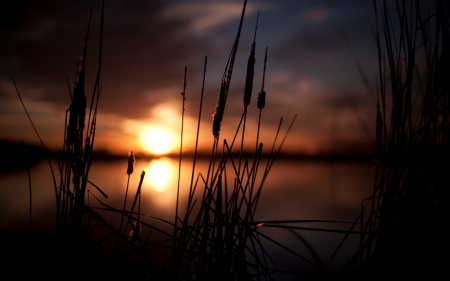 Sunset - nature, sky, lake, clouds, sun, water, sunset