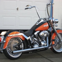 Black Over Orange Harley