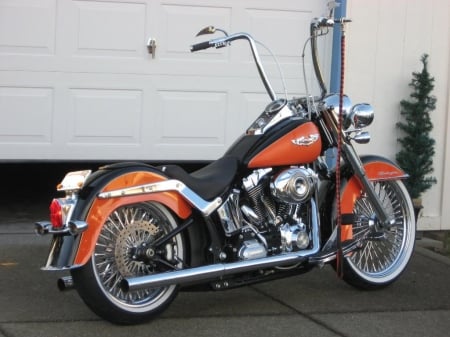 Black Over Orange Harley - harley, chopper, two tone, bike