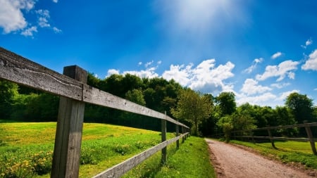 country road in summer - summer, countryside, road, fences, fields, sunshine