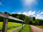 country road in summer