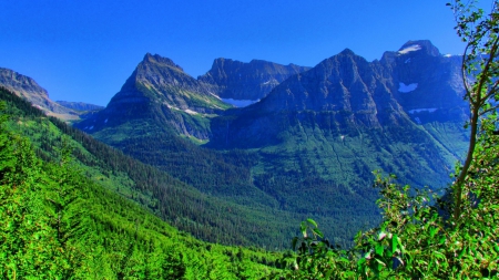 nature in summertime colors - valley, sky, forests, mountains, summer