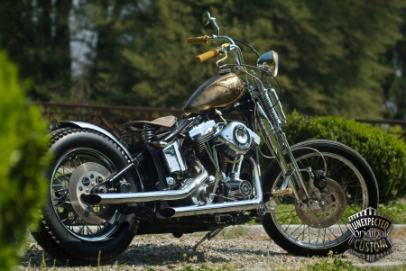 Harley Davidson - chopper, motorcycle, bike, harley davidson