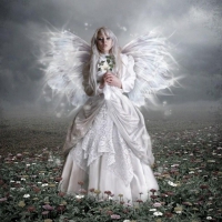 ANGEL IN WHITE