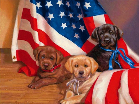 Celebration - labs, flag, puppies, united states