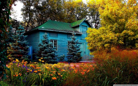 back in time - sky, house, trees, flower