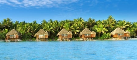 Dream Vacation - tropical, summer, dive, resort, beautiful, beach, islands, palm trees, bungalows, crystall sea, swim, paradise