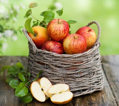 â™¥Applesâ™¥ - harvest, summer, basket, apples, fruit