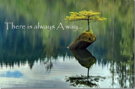 THERE IS ALWAYS A WAY - image, tree, log, quote