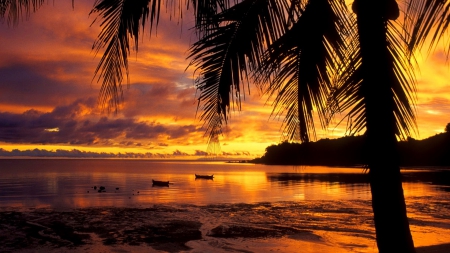 gorgeous sunset on a madagascar seashore - clouds, tree, sunset, sea, boats, shore