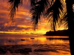 gorgeous sunset on a madagascar seashore