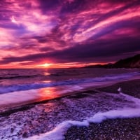 Purple Sunset