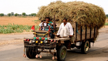 Fancy Truck in India - truck, hay, india, Fancy