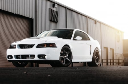 2000-Ford-Mustang-GT - white, ford, gt, black wheels