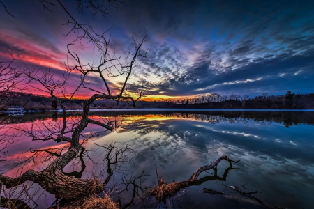 * Sunset at lake * - lake, trees, nature, sunset