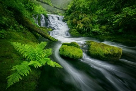 Hump Rock - calm, summer, creek, stream, forest, photo, cascade, plants, place, greenery, trees, water, beautiful, lovely, fall, river, waterfall, serenity