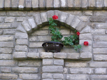 Flower - brick, flower, red, wall