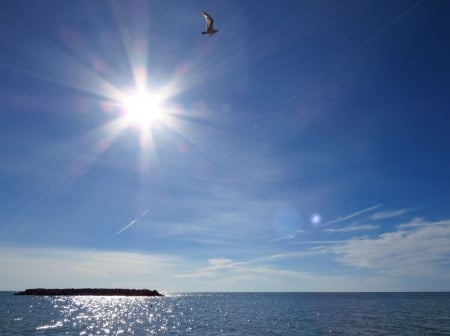 Sunny Day on the Lake - bird, water, nature, rays, summer, lake, sun, sky