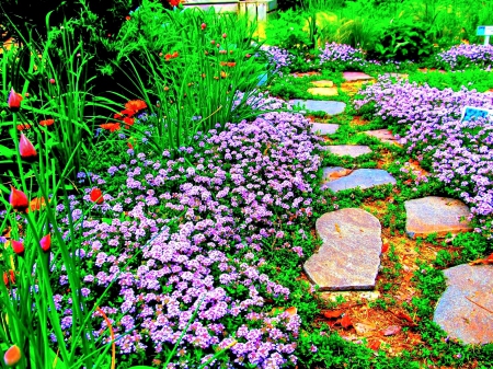 BEAUTIFUL GARDEN PATHWAY - PATHWAY, NATURE, SPLENDOR, ROCKS, LOVELY FLOWERS, GARDEN, COLORFUL