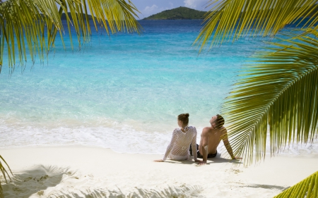 * Summer with love * - palms, nature, summer, beach