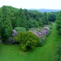 Wentworth castle gardens