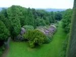 Wentworth castle gardens