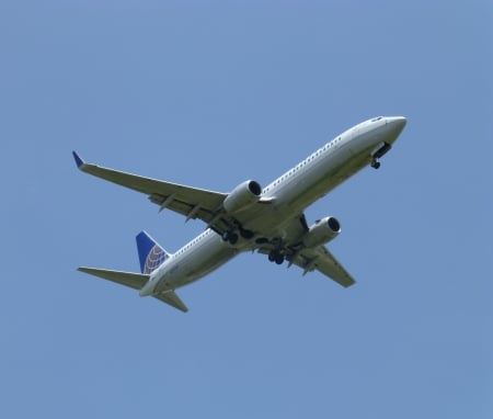 Boeing 737-800 - aircraft, boeing 737-800, plane, jet