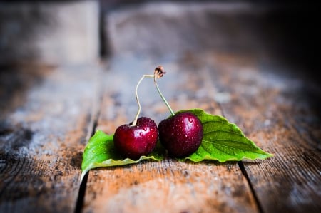 â™¥Cherryâ™¥ - wood, fresh, leaves, cherry, berries