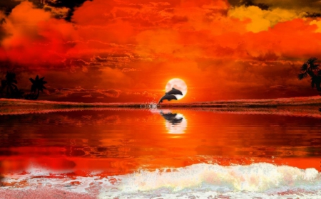 Red Sunset with Dolphins - red, dolphin, sunset, sea, nature