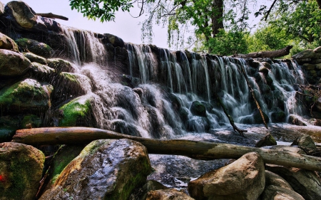 Forest Waterfall - nature, forest, waterfall, rocks