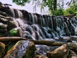 Forest Waterfall