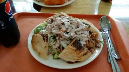 gyro plate