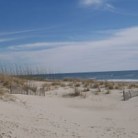 Dunes at the Sea