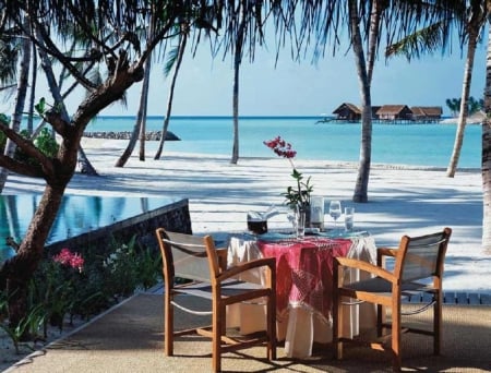 Table for Two - nature, beach, table, summer, sea