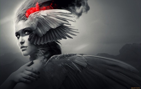 Angel - angel, red and black, beautiful, wings, two colors, friend