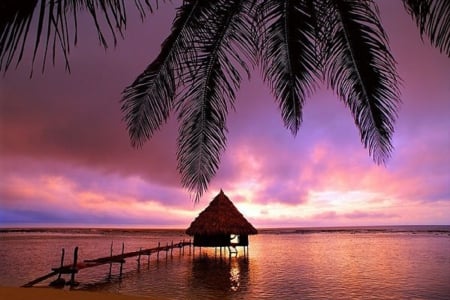 Purple Sunset - nature, purple, beach, sunset, sea