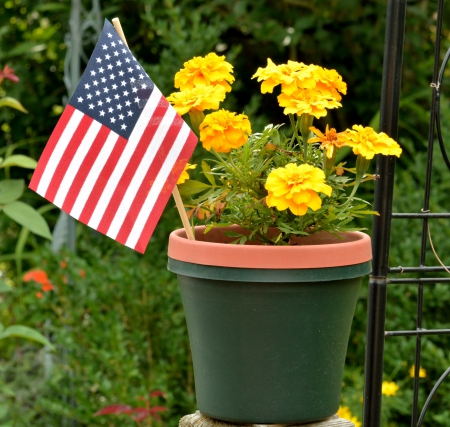 Flowers and Flag - american flag, flowers and flag, flower pot, yellow flowers