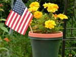 Flowers and Flag