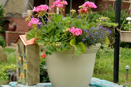 Pretty Flower Pot - flower pot, pretty flowers, pink flowers, Pretty Flower Pot