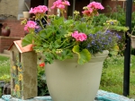 Pretty Flower Pot