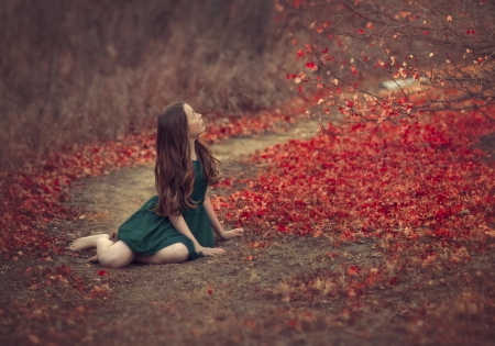 * Autumn memories * - memories, nature, autumn, girl, road, alone, tree, leaves