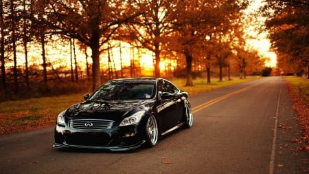 Infiniti G37 - fun, car, cool, infiniti, g37