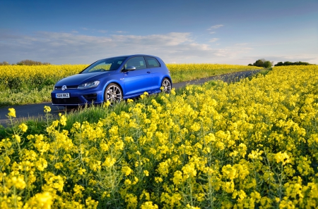 âœ¿âŠ±â€¢â•®Car on field  â•­â€¢âŠ°âœ¿ - flowers, field, flower, nature