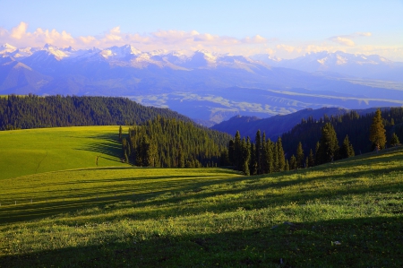 âœ¿âŠ±â€¢â•®Beautiful viewâ•­â€¢âŠ°âœ¿ - nature, sky, field, forest