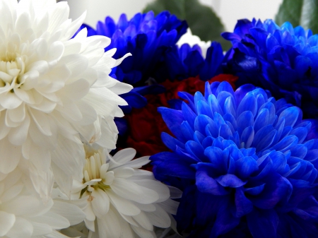 have some pretty flowers :) - pretty, sunny, yellow, blue, flower, flowers, gree, white, nature, petal, red, leaf