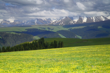 âœ¿âŠ±â€¢â•®Field â•­â€¢âŠ°âœ¿ - field, sky, mountains, nature