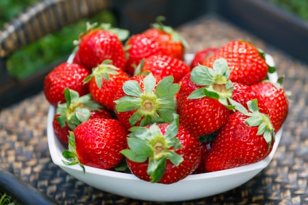 â™¥Strawberryâ™¥ - fresh, sweet, berries, strawberry